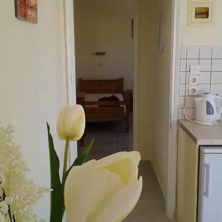 Apartment Elena *