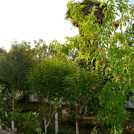 Apartment Kostas' Garden