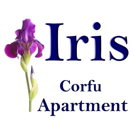 Iris Near Corfu Town Kontokali