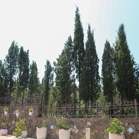 Villa Dada House *