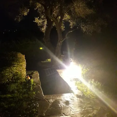 House In The Olive Garden *