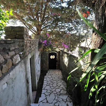 Theodora View Zeys