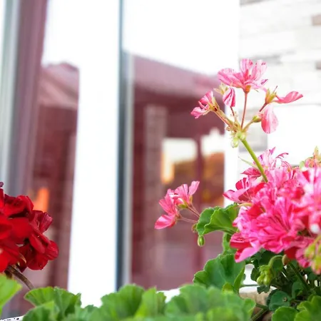 Aparthotel Spiridoula's Corfu *