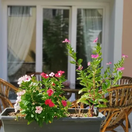 Sunshine 3 With Sea View Holiday home