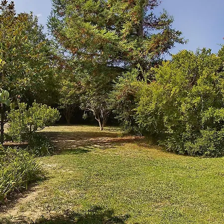 Villa Leda Karousades (Esperies)