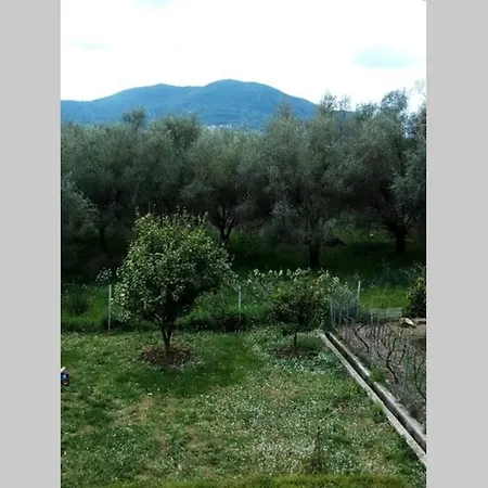 υπεροχη διαμονη... * Achilleion
