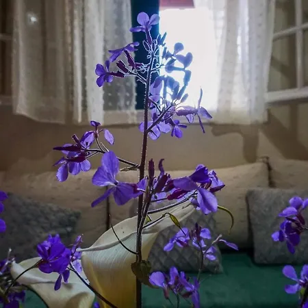 Yvoni Village House Apartment *