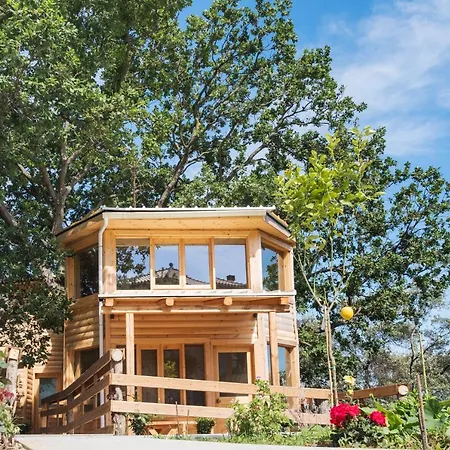 Romantic Tree House Holiday home Kato Pavliana