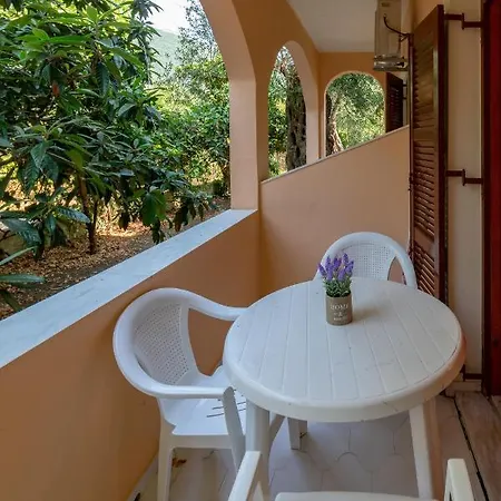 Apartment Olive Ipsos