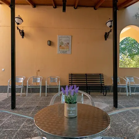 Olive Apartment Ipsos