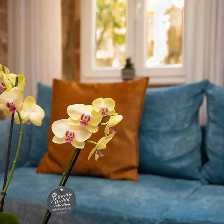 Sopra Mura Luxury Town House Holiday home Corfu (city)
