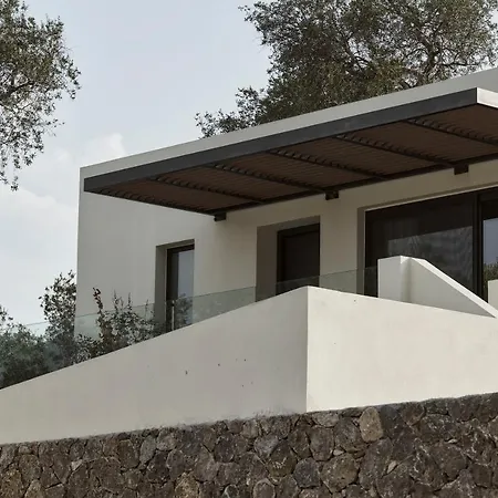 The Olivar