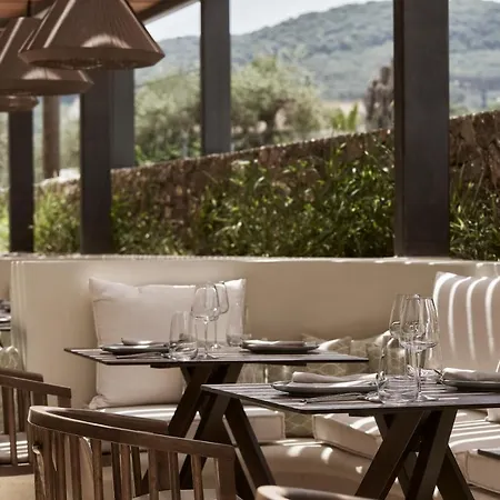 The Olivar 5*