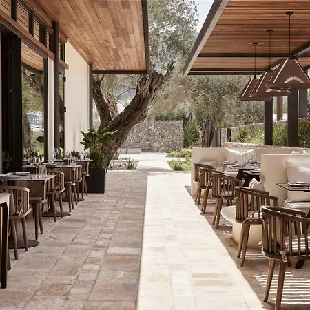 Hotel The Olivar 5*