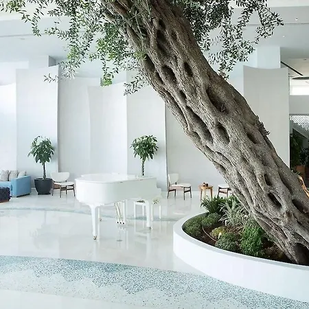 Calimera Miramare & (adults Only) 3*