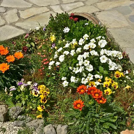 The Avra Gardens Vakantiehuis