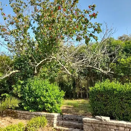 Apartment Lemontree Kassiopi