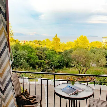 Braziliana Apartment