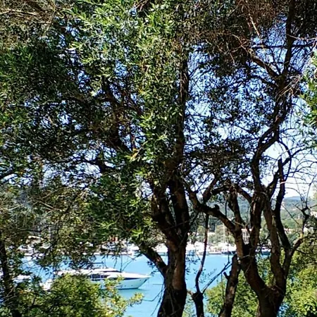 Apartment Coritos Corfu *