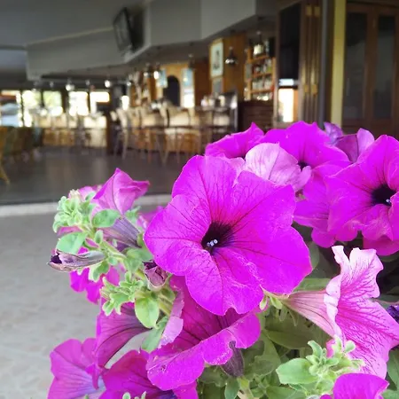 Tondoris Aparthotel Sidari (Corfu)
