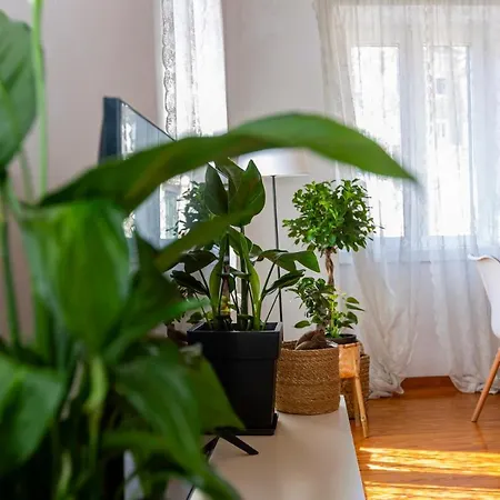 Artist Loft Apartment *