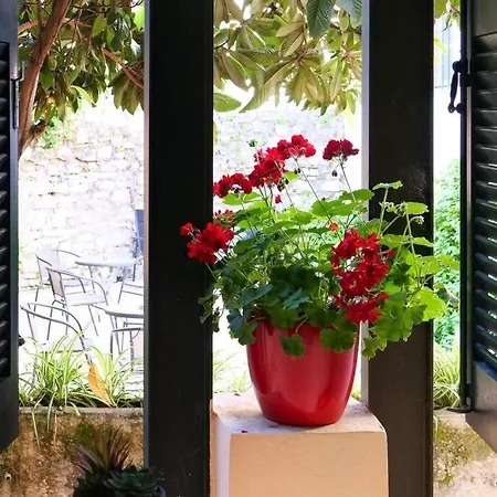 Apartment Indigo In Old Corfu Town *