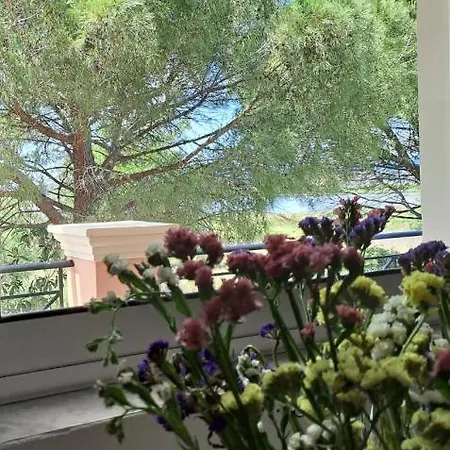 Apartment Maison Du