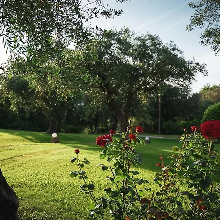 Panorama Hideaway Aparthotel Dassia (Corfu)