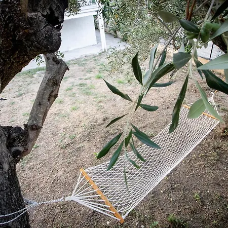 Agrikia House Ferienhaus Agros (Corfu)