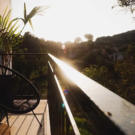 Olive Grove Boutique Hotel Moraitika