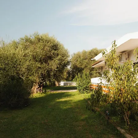 Olive Grove Boutique 4*
