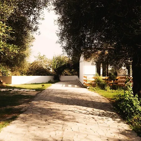Olive Grove Boutique 4* Moraitika