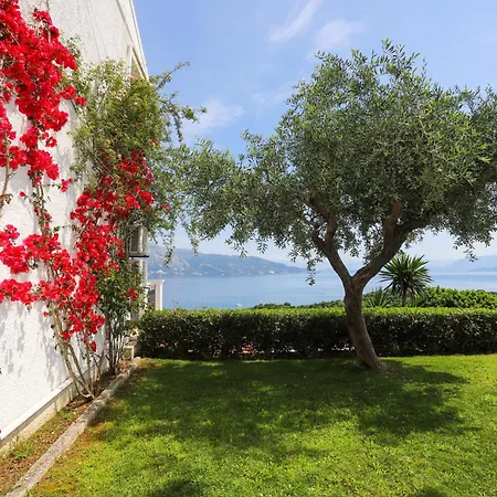 Apartment Bella Vista