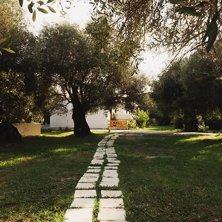 Olive Grove Boutique 4* Moraitika