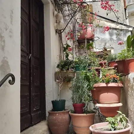 Hidden Garden