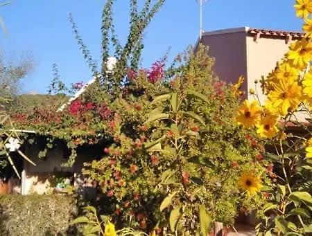 Apartment Spiti Lou