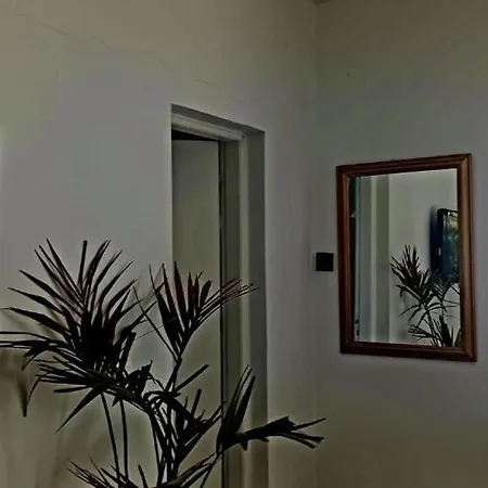 Olive And Blue *