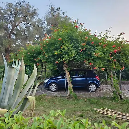 House Theodora Holidays Greece Holiday home Dragotina
