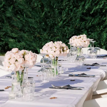 Hotel Olive Grove Boutique