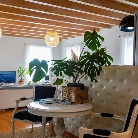 Apartment Artist Loft