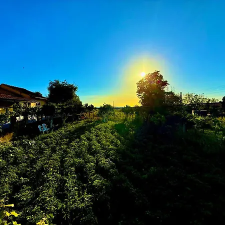 Ferienhaus Travellers Gaddafi Agios Gordios Agios Gordios (Corfu)