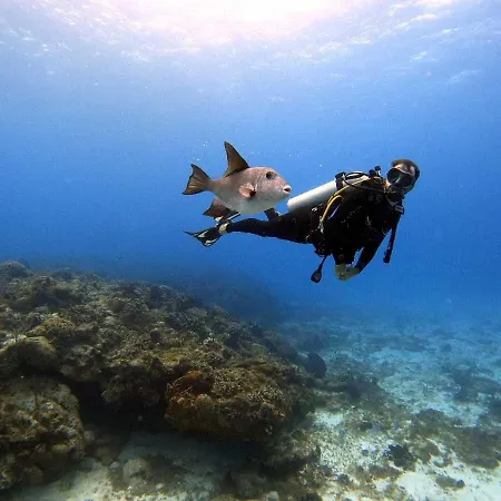 Corfu Poulos Astrakeri