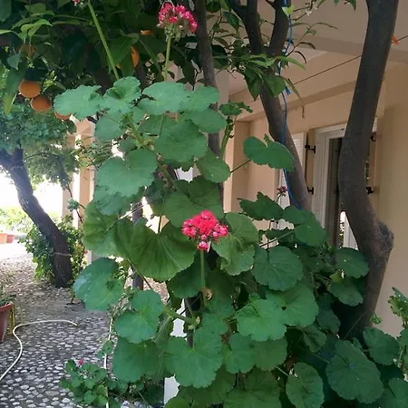 Varagoulis Giannis & Lenas Apartment Paramonas (Corfu)