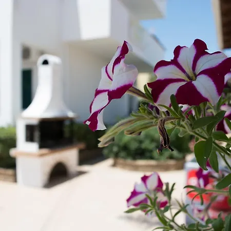 Chandris Aparthotel Kavos