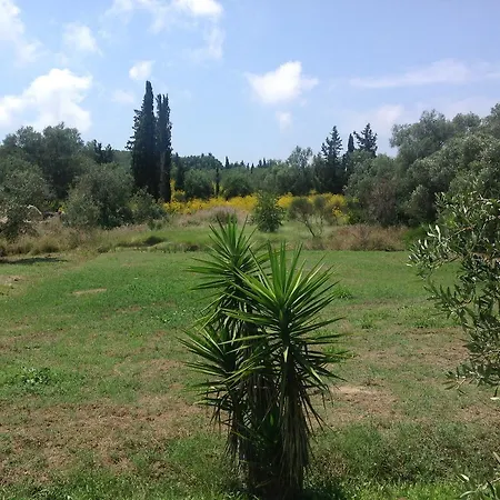 Yianetta 3* Kavos