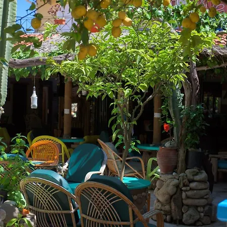 Maro Arillas Corfu Apartment *