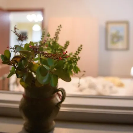 Casa Elisabetta Corfu * Kynopiastai